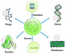 Graphical abstract: Theoretical and computational studies of dendrimers as delivery vectors