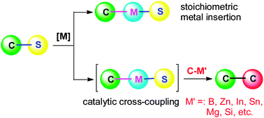 Graphical abstract: Transition-metal mediated carbon–sulfur bond activation and transformations