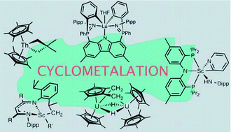 Graphical abstract: Cyclometalative C–H bond activation in rare earth and actinide metal complexes