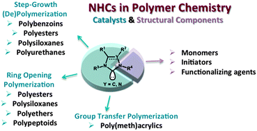 Graphical abstract: N-Heterocyclic carbenes (NHCs) as organocatalysts and structural components in metal-free polymer synthesis