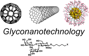 Graphical abstract: Glyconanotechnology