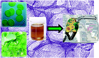 Graphical abstract: Rational design of heterogeneous catalysts for biodiesel synthesis