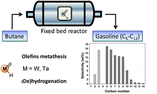 Graphical abstract: Selective conversion of butane into liquid hydrocarbon fuels on alkane metathesis catalysts
