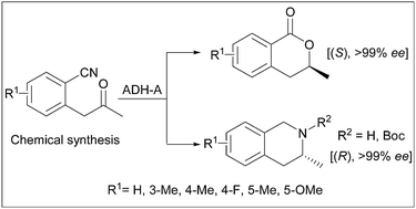Graphical abstract: Enantiopure 3-methyl-3,4-dihydroisocoumarins and 3-methyl-1,2,3,4-tetrahydroisoquinolines via chemoenzymatic asymmetric transformations
