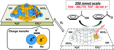 Graphical abstract: The role of negatively charged Au states in aerobic oxidation of alcohols over hydrotalcite supported AuPd nanoclusters