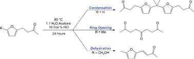 Graphical abstract: Functional group dependence of the acid catalyzed ring opening of biomass derived furan rings: an experimental and theoretical study