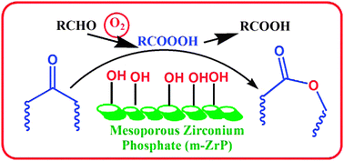 Graphical abstract: Room temperature Baeyer–Villiger oxidation using molecular oxygen over mesoporous zirconium phosphate