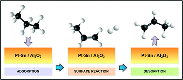 Graphical abstract: Kinetics of propane dehydrogenation over Pt–Sn/Al2O3