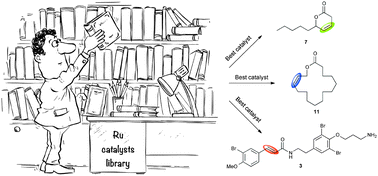 Graphical abstract: Screening of a selection of commercially available homogeneous Ru-catalysts in valuable olefin metathesis transformations