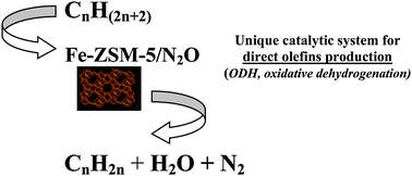 Graphical abstract: Oxydehydrogenation of C2–C4 hydrocarbons over Fe-ZSM-5 zeolites with N2O as an oxidant