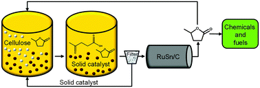 Graphical abstract: Direct conversion of cellulose to levulinic acid and gamma-valerolactone using solid acid catalysts