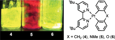 Graphical abstract: Photophysical properties of 4,4′-di-tert-butyl-2,2′-bipyridine supported 6-membered 2,2′-diphenyl-X platinacycles (X = CH2, NMe, O)