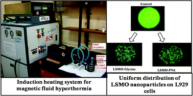 Graphical abstract: Polyvinyl alcohol: an efficient fuel for synthesis of superparamagnetic LSMO nanoparticles for biomedical application
