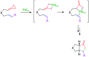Graphical abstract: Mechanistic study on the palladium-catalyzed (3 + 2) intramolecular cycloaddition of alk-5-enylidenecyclopropanes