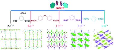 Graphical abstract: Zn(ii) and Cd(ii) coordination polymers assembled by di(1H-imidazol-1-yl)methane and carboxylic acid ligands