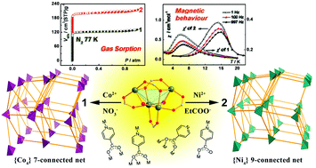 Graphical abstract: Highly-connected, porous coordination polymers based on [M4(μ3-OH)2] (M = CoII and NiII) clusters: different networks, adsorption and magnetic properties