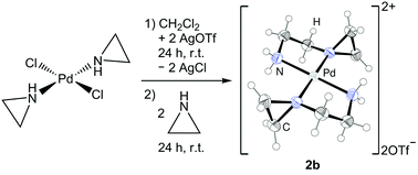 Graphical abstract: Synthesis, structural characterization, antimicrobial and cytotoxic effects of aziridine, 2-aminoethylaziridine and azirine complexes of copper(ii) and palladium(ii)