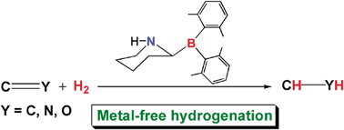 Graphical abstract: A computational experiment to study hydrogenations of various unsaturated compounds catalyzed by a rationally designed metal-free catalyst