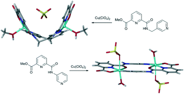 Graphical abstract: Building blocks for coordination polymers: self-assembled cleft-like and planar discrete metallo-macrocyclic complexes