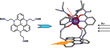 Graphical abstract: Tripodal europium complex with triangulenium dye: a model bifunctional metallo-organic system