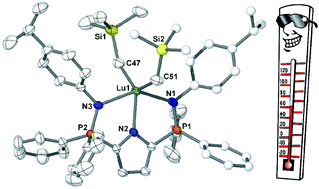 Graphical abstract: Thermally stable rare earth dialkyl complexes supported by a novel bis(phosphinimine)pyrrole ligand