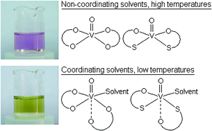 Graphical abstract: Temperature and solvent structure dependence of VO2+ complexes of pyridine-N-oxide derivatives and their interaction with human serum transferrin