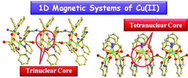 Graphical abstract: Assembly of trinuclear and tetranuclear building units of Cu2+ towards two 1D magnetic systems: synthesis and magneto-structural correlations