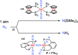 Graphical abstract: Molybdenum-catalyzed reduction of molecular dinitrogen under mild reaction conditions