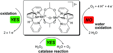 Graphical abstract: A manganese oxido complex bearing facially coordinating trispyridyl ligands – is coordination geometry crucial for water oxidation catalysis?