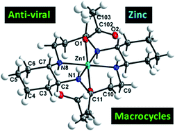 Graphical abstract: Zinc(ii) complexes of constrained antiviral macrocycles