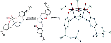 Graphical abstract: Vanadate complexes bearing an imidazolidine-bridged bis(aryloxido) ligand: synthesis and solid state and solution structure