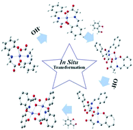 Graphical abstract: In situ ligand and complex transformation of an iron(iii) Schiff base complex: structural evidence and theoretical calculations