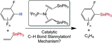 Graphical abstract: A mechanistic investigation of carbon–hydrogen bond stannylation: synthesis and characterization of nickel catalysts