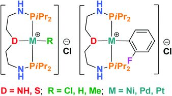 Graphical abstract: Ni(ii), Pd(ii) and Pt(ii) complexes of PNP and PSP tridentate amino–phosphine ligands