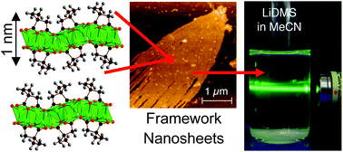 Graphical abstract: Layered inorganic–organic frameworks based on the 2,2-dimethylsuccinate ligand: structural diversity and its effect on nanosheet exfoliation and magnetic properties