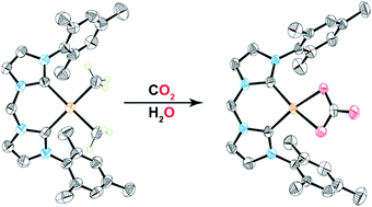 Graphical abstract: Reaction of carbon dioxide with a palladium–alkyl complex supported by a bis-NHC framework