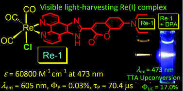 Graphical abstract: Rhenium(i) tricarbonyl polypyridine complexes showing strong absorption of visible light and long-lived triplet excited states as a triplet photosensitizer for triplet–triplet annihilation upconversion