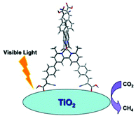 Graphical abstract: A copper(i) dye-sensitised TiO2-based system for efficient light harvesting and photoconversion of CO2 into hydrocarbon fuel