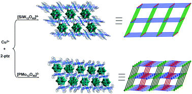 Graphical abstract: Two hybrid polyoxometalate-pillared metal–organic frameworks