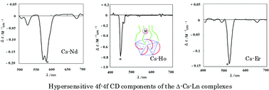 Graphical abstract: Electronic circular dichroism in the 4f–4f transitions of a series of cesium tetrakis (+)-3-heptafluorobutyrylcamphorate Ln(iii) complexes