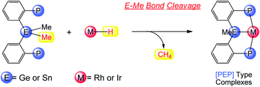 Graphical abstract: Facile synthesis of rhodium and iridium complexes bearing a [PEP]-type ligand (E = Ge or Sn) via E–C bond cleavage