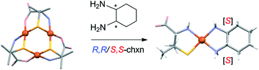 Graphical abstract: Conversion of d-penicillaminato trinuclear to mononuclear palladium(ii) structure by diamine ligands: remarkable enantioselectivity toward racemic 1,2-cyclohexanediamine