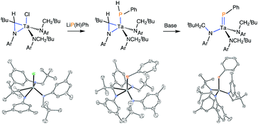 Graphical abstract: Terminal phosphinidene formation via tantalaziridine complexes