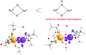 Graphical abstract: DFT study of the mechanism for methane hydroxylation by soluble methane monooxygenase (sMMO): effects of oxidation state, spin state, and coordination number