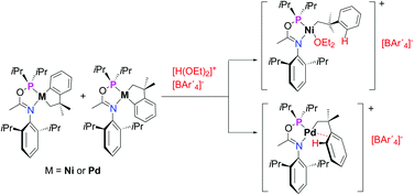 Graphical abstract: Migratory insertion reactions of nickel and palladium σ-alkyl complexes with a phosphinito-imine ligand