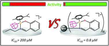 Graphical abstract: The influence of RAPTA moieties on the antiproliferative activity of peripheral-functionalised poly(salicylaldiminato) metallodendrimers