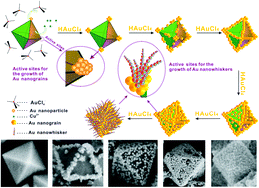 Graphical abstract: Selective growth of Au nanograins on specific positions (tips, edges and facets) of Cu2O octahedrons to form Cu2O–Au hierarchical heterostructures