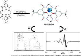 Graphical abstract: A novel di-compartmental bis-(2-hydroxyisophtalamide) macrocyclic ligand and its mononuclear Cu(ii) and Ni(ii) complexes