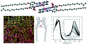 Graphical abstract: Silver–pyrazole complexes as hybrid multifunctional materials with metallomesogenic and photoluminescent behaviour