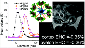 Graphical abstract: Effect of the nanoparticle synthesis method on dendronized iron oxides as MRI contrast agents